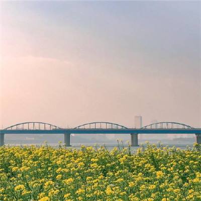 小米战地指挥官游戏下载